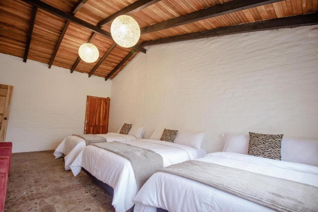 Rustic Quinta La Aurora Bed and Breakfast Baños Exteriör bild